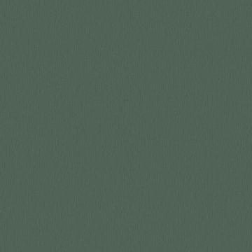 TRENDWALL2 PARATO TNT   UNITO VERDE MILI. 10,05X0,53MT