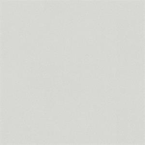 TRENDWALL2 PARATO TNT   UNITO GRIGIO CH 10,05X0,53MT