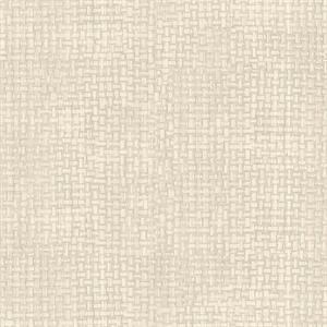 COULEURS&MATIERES 2 PARATO TNT MATERICO GRIGIO CH. 10x0,53 mt