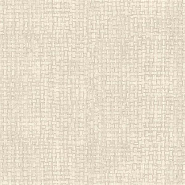 COULEURS&MATIERES 2 PARATO TNT MATERICO GRIGIO CH. 10x0,53 mt