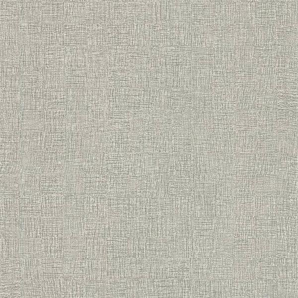 COULEURS&MATIERES 2 PARATO TNT EFF. SACCO GRIGIO 10x0,53mt