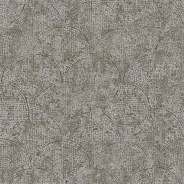 COULEURS&MATIERES 2 PARATO TNT MAT. ANTRACITE SILVER 10x0,53mt