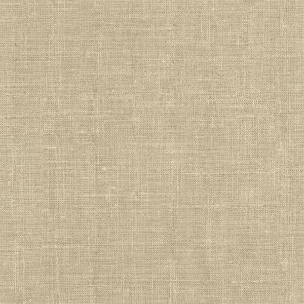 COULEURS&MATIERES 2 PARATO TNT EFF. SACCO BEIGE 10x0,53mt