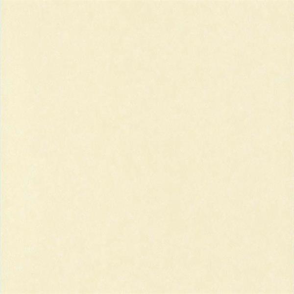 COULEURS&MATIERES 2 PARATO TNT MATERICO BIANCO 10x0,53mt