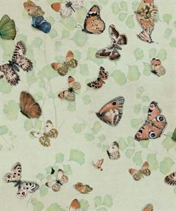 NATURAE PANT.PARATO TNT BUTTERFLIES VERDE MIS.0,50X10MT