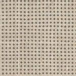 RAFFIAS PARATO VINILICO EFF.TESSUTO BEIGE/GRIGIO 10X0,50MT