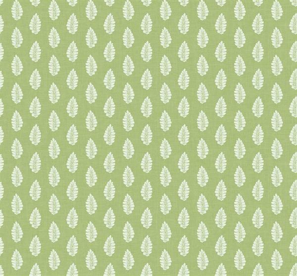 PARATO ENCHANTED IN TNT FOGLIAGE GREEN 0,68X8,20MT