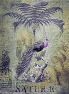 ARTIST STAMPA DIGITALE  TNT PEACOCK JUNGLE MIS.270X200CM