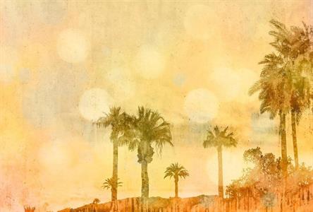 ARTIST STAMPA DIGITALE  TNT PALM OASIS MIS.270X400CM