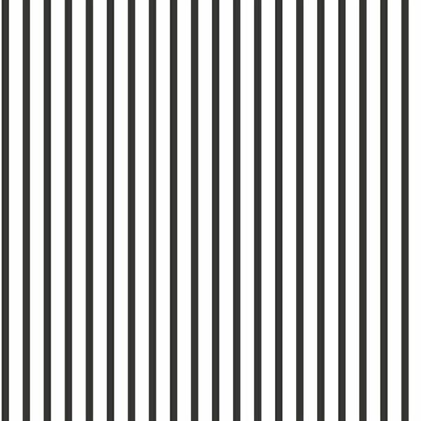 PARATO SMART STRIPES 24 /IN PVC/TNT RIGHE BLACK 0,53X10,05MT