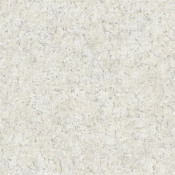 TEXTURE FX PARATO SU TNT EFFETTO MURO GRIGIO SILVER 10x0,53 mt