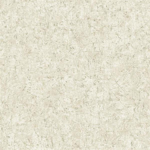 TEXTURE FX PARATO SU TNT MATERICO GRIGIO ORO 10x0,53 mt