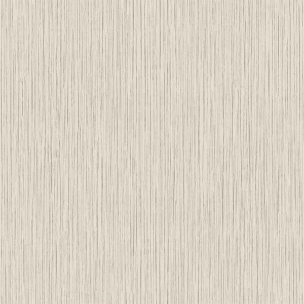 TEXTURE FX PARATO SU TNT MATERICO GRIGIO CHIARO 10x0,53 mt