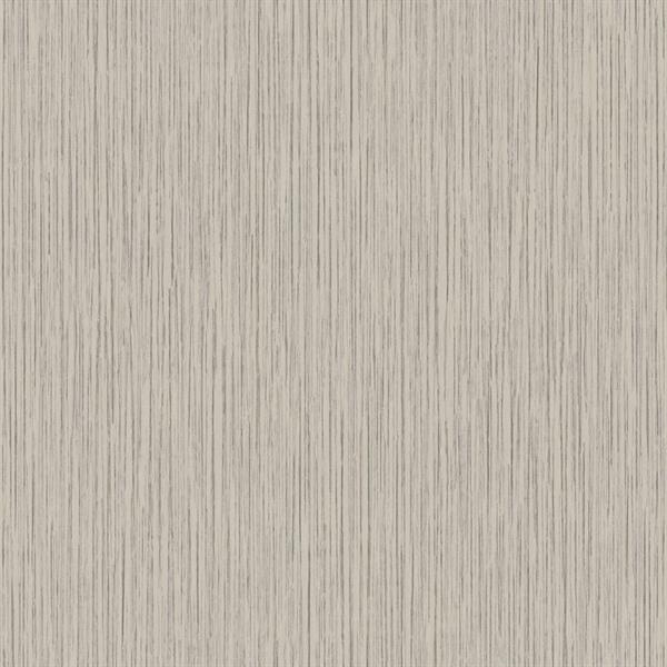 TEXTURE FX PARATO SU TNT MATERICO GRIGIO 10x0,53 mt