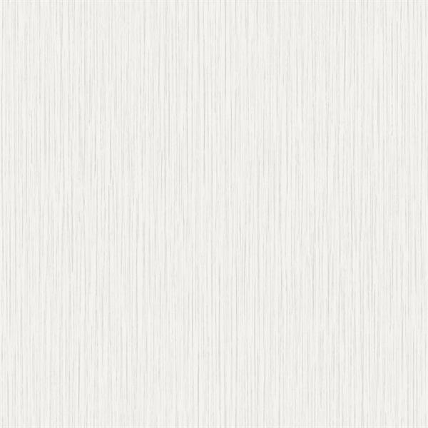 TEXTURE FX PARATO SU TNT MATERICO GRIGIO CHIARO 10x0,53 mt