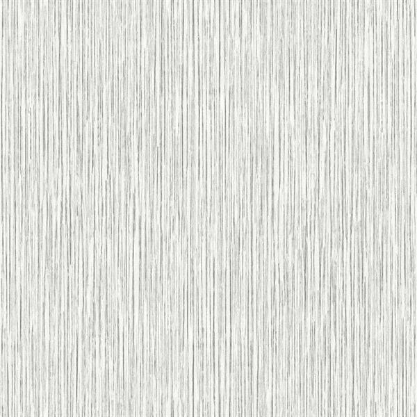 TEXTURE FX PARATO SU TNT MATERICO GRIGIO 10x0,53 mt