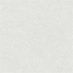 TEXTURE FX PARATO SU TNT EFFETTO PIETRA GRIGIO CHIARO 10x0,53 mt