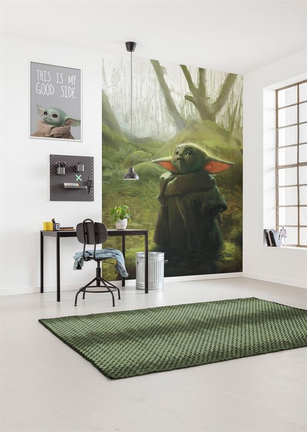 FOTOMURALE WONDERLAND   /IN TNT STARWARS MIS.200X280 CM (4TELI)