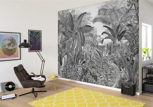 FOTOMURALE WONDERLAND   /IN TNT JUNGLE GREY MIS.350X280h CM (7 T