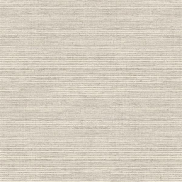 PARATO NATURAL FX2 VINILE/SU TNT UNITO TAUPE 0,53X10,05MT