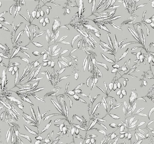 PARATO OLIVAR IN TNT    BIRDS FOLIAGE GREY MIS.0,50X10MT