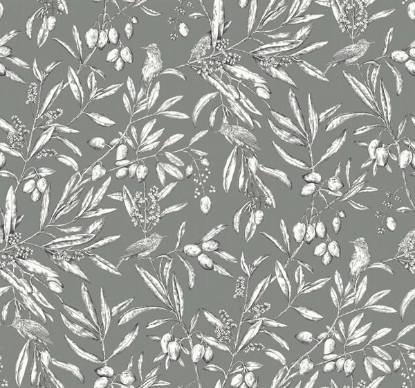 PARATO OLIVAR IN TNT    BIRDS FOLIAGE MILITARY MIS.0,50X10MT