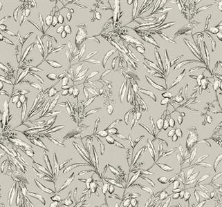 PARATO OLIVAR IN TNT    BIRDS FOLIAGE TAUPE MIS.0,50X10MT