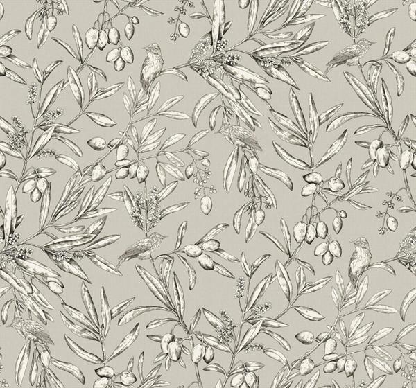 PARATO OLIVAR IN TNT    BIRDS FOLIAGE TAUPE MIS.0,50X10MT