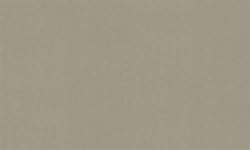 PARATO TERRA DI CASA    PVC/TNT UNITO BROWN 0,53X10,05MT