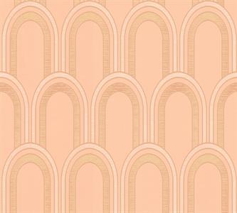 PARATO ARCADE IN TNT    DESIGN ROSE' 0,53X10,05MT