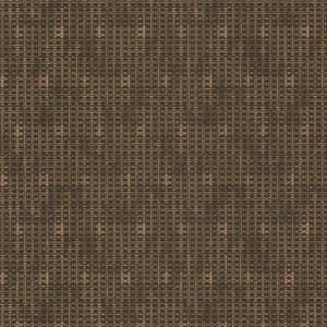 PARATO LES UNIS PVC/TNT DESIGN D.BROWN 0,53X10,05MT