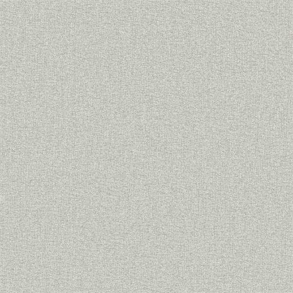 PARATO TROPICALIA PVC   /TNT UNITO TAUPE 0,53X10,05MT