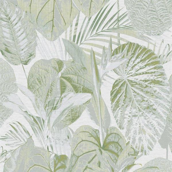 PARATO TROPICALIA PVC   /TNT FOLIAGE GREEN 0,53X10,05MT