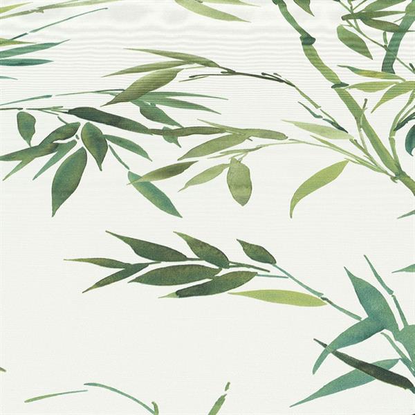 PARATO TROPICALIA PVC   /TNT FOLIAGE GREEN 0,53X10,05MT