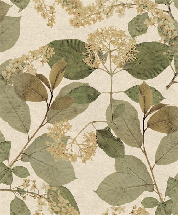 PARATO HERBARIUM ECODECO/FOLIAGE GREEN/CREAM 0,53X10,05MT