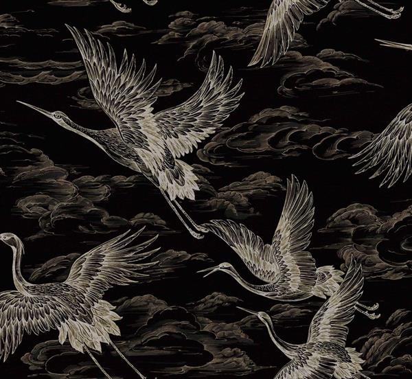 PARATO FORBIDDEN CITY   TNT BIRDS BLACK 0,50X10MT