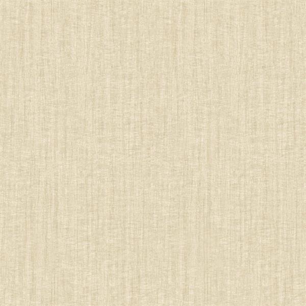 PARATO SHADES OF COLOUR /IN TNT UNITO BEIGE  0,53X10,05MT