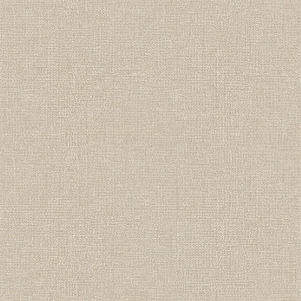 PARATO SHADES OF COLOUR /PVC-TNT UNITO BEIGE.G. 0,53X10,05MT