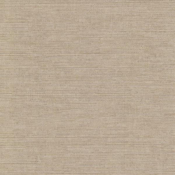 PARATO VERSA  CONTRACT  /TEXTURES UNITO TAUPE MIS.AL MQ.