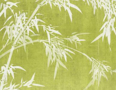 STAMPA DIGITALE IN TNT /BABYLON FOLIAGE  LIME  350x270cm