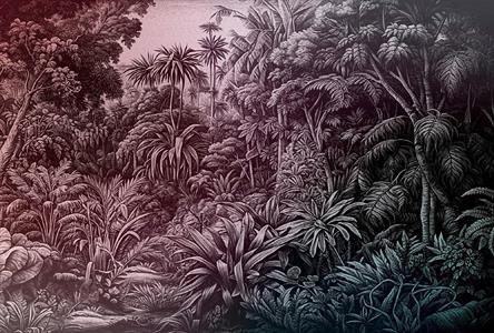 WALL BY PATEL 4 STAMPA  /DIGITALE - JUNGLE V.400x270H.CM