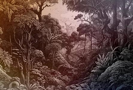 WALL BY PATEL 4 STAMPA  /DIGITALE - JUNGLE MIS.400x270H.CM