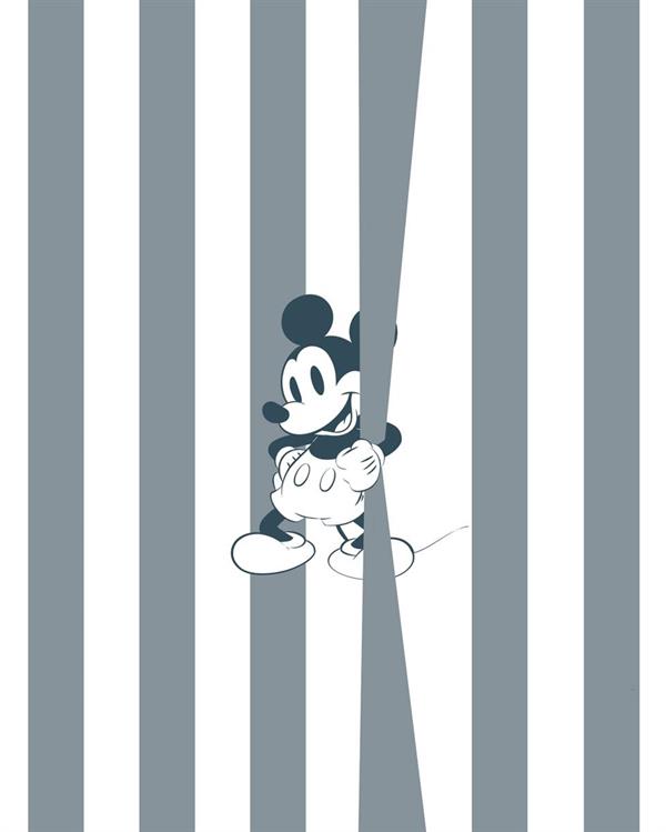 FOTOMURALE WONDERLAND   /IN TNT MICKY MOUSE MIS.200X250h CM (4 T