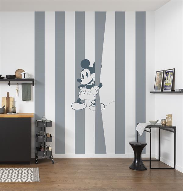 FOTOMURALE WONDERLAND   /IN TNT MICKY MOUSE MIS.200X250h CM (4 T