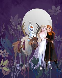 FOTOMURALE WONDERLAND   /IN TNT FROZEN 200X250 CM (4TELI)