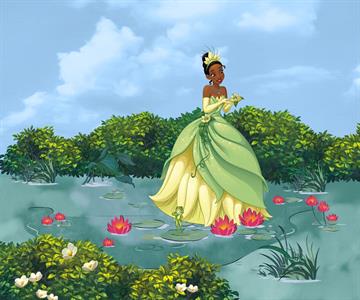 FOTOMURALE WONDERLAND   /IN TNT TIANA MIS. 300X250 CM(6 TELI)