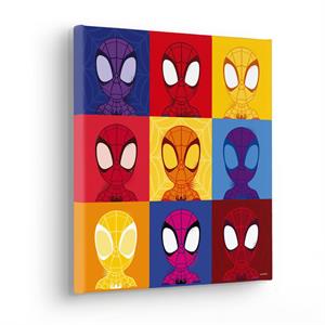 QUADRO INTO WONDERLAND  /IN TNT INTELAIATO SPIDER MAN 30X30CM