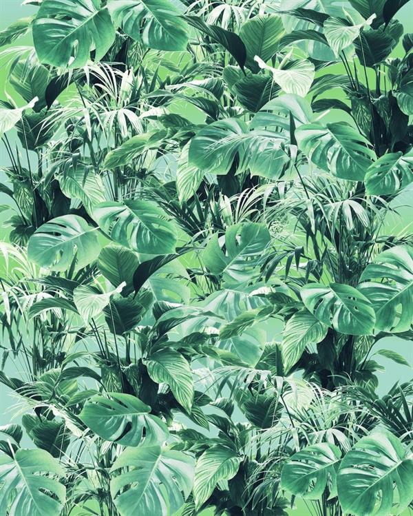 FOTOMURALE PURE 2 IN TNTFOLIAGE GREEN MIS.200X250 CM (2 Teli)