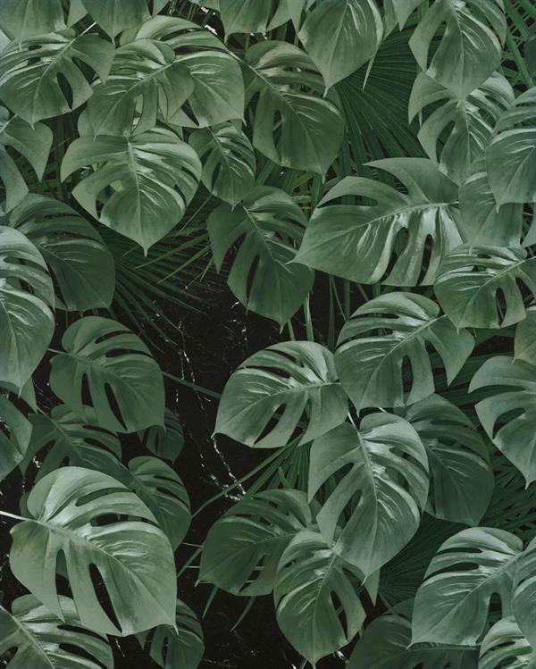 FOTOMURALE PURE 2 IN TNTFOLIAGE GREEN MIS.200X250 CM(2 Teli)