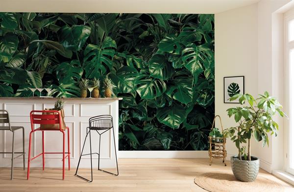 FOTOMURALE PURE 2 IN TNTFOLIAGE GREEN MIS.400X250CM (4 Teli)